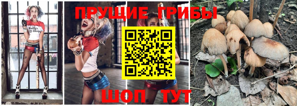 Галлюциногенные грибы Cubensis  Вход с VPN  Кемерово 