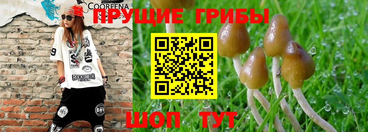 Галлюциногенные грибы ЛСД Кемерово